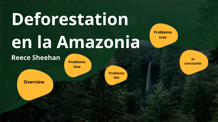 Deforestation In The Amazon By Reece Sheehan On Prezi