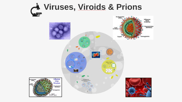 primophoto virus