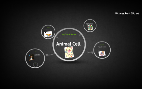 Animal Cell by Charlie becker on Prezi