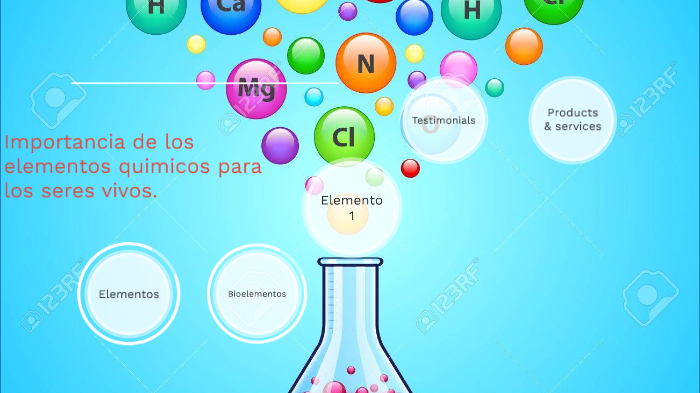 Importancia De Los Elementos Químicos Para Los Seres Vivos By Eli Isaias Jasso Martinez On Prezi