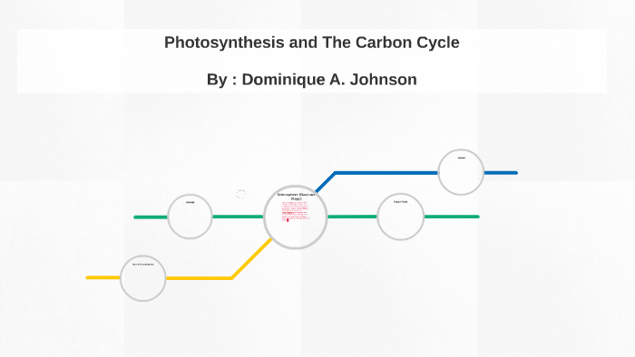 Photosynthesis and The Carbon Cycle by dominique johnson on Prezi