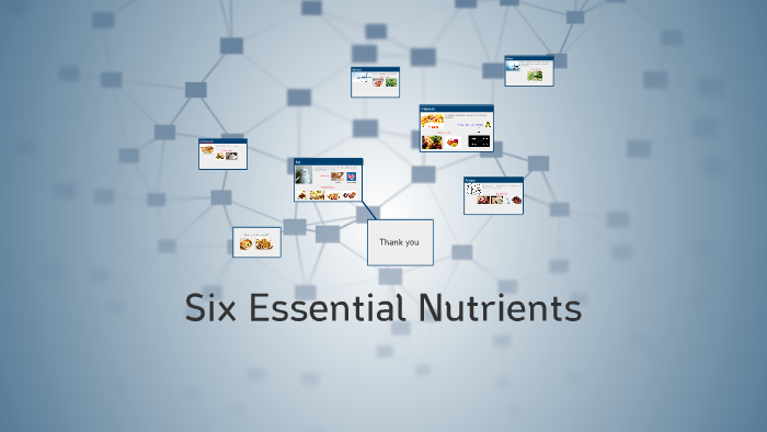 Six Essential Nutrients By 수아 오 On Prezi