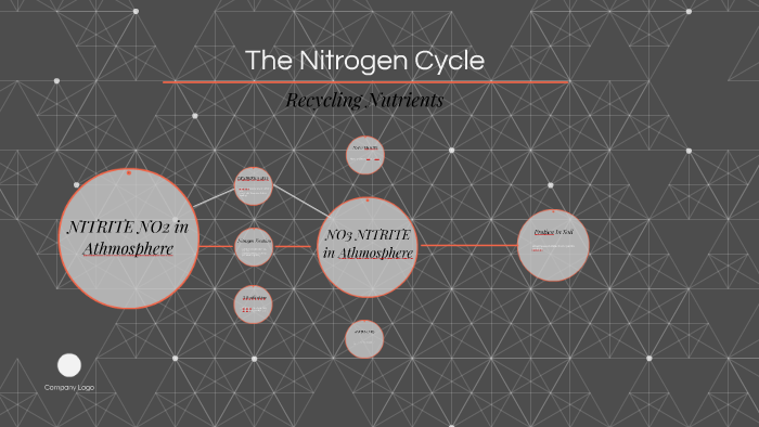 The Nitrogen Cycle by Nina Shannon Roe on Prezi