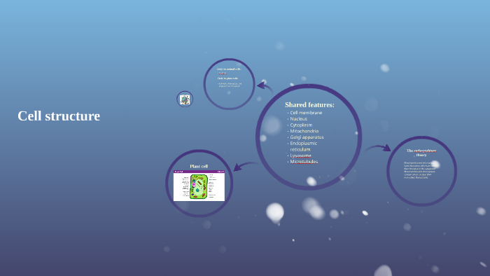 Cell structure by on Prezi