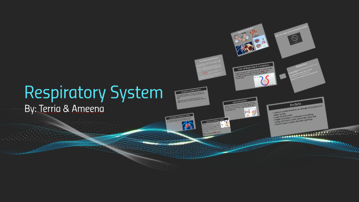 Respiratory System by terria smith on Prezi