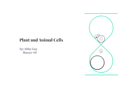 Plant and Animal Cells by abby guy on Prezi