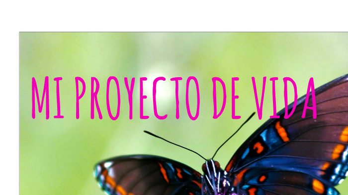 MI PROYECTO DE VIDA by luisa perdomo vasquez on Prezi