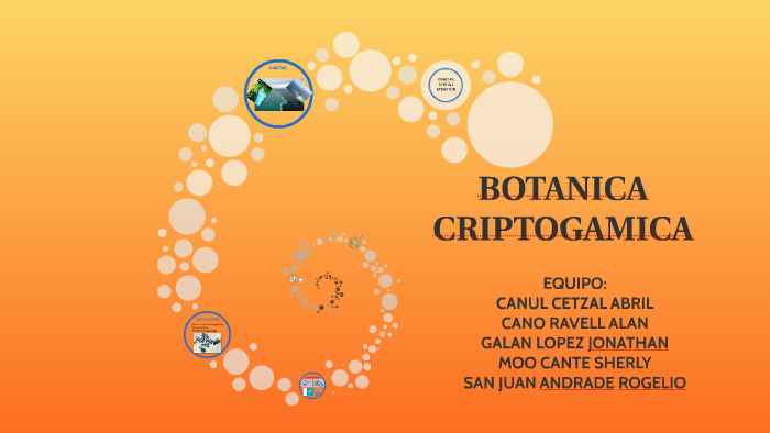 BOTANICA CRIPTOGAMICA by John Galan Lopez on Prezi