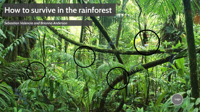 How to survive in the rainforest by Brianna Anderson on Prezi