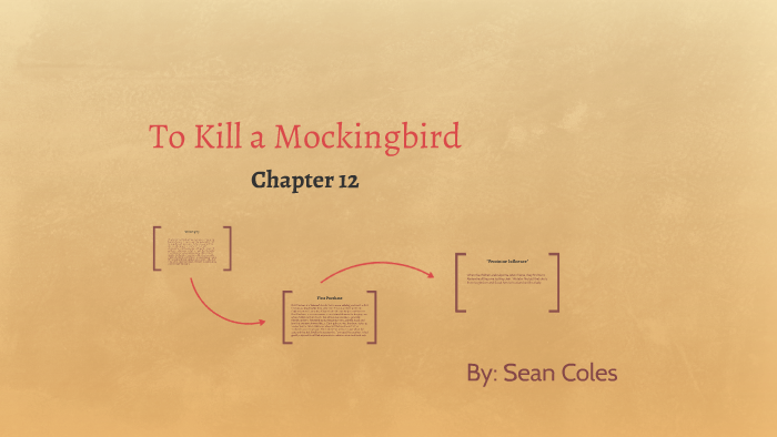 how to kill a mockingbird chapter 12