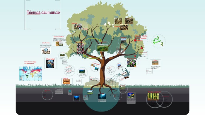 Biomas del mundo by Cesar Camilo Monguí Ávila on Prezi