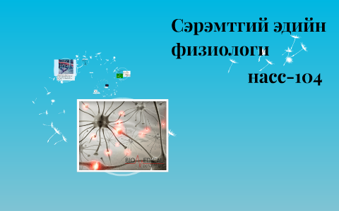 Сэрэмтгий эдийн физиологи by on Prezi