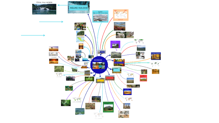 BIOMAS by Bonifacio Vargas on Prezi