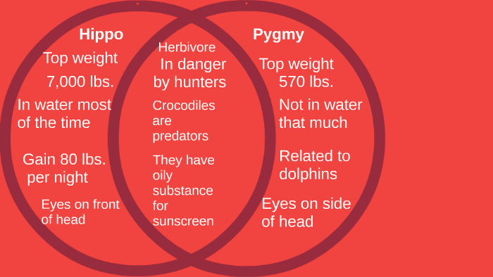 Hippo Diagram by cindy kapaun on Prezi