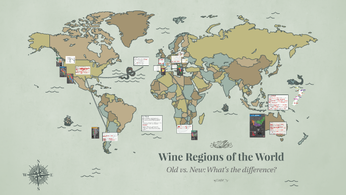 Real Differences: New World vs Old World Wine