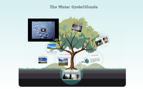 The Water Cycle by Rachel Haug on Prezi