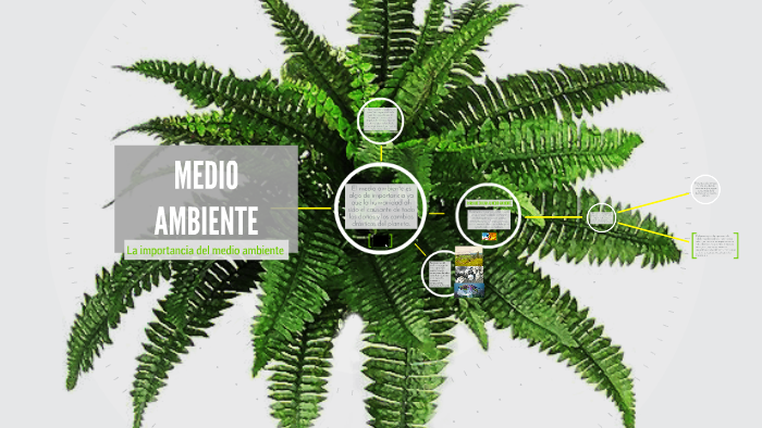 Medio Ambiente by Paula Marin on Prezi