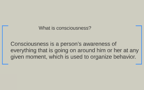 What Is Consciousness? By On Prezi