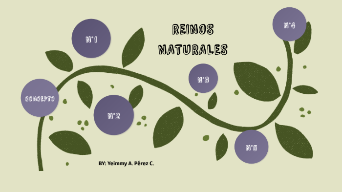 LOS REINOS DE LA NATURALEZA by Yeimmy Perez on Prezi