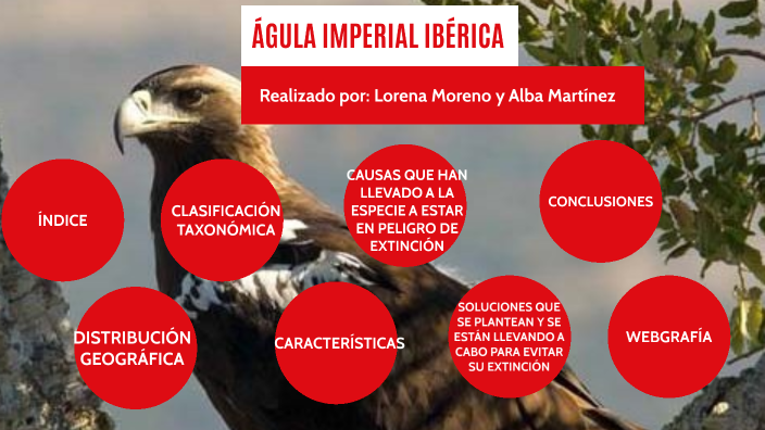 Águila Imperia Ibérica by Alba Martínez Orenes on Prezi Next