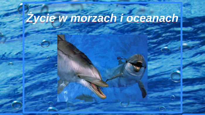 Życie w morzach i oceanach by Paulina Ania on Prezi