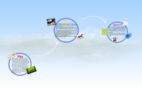 Compearing the poems by Matias MAssun on Prezi