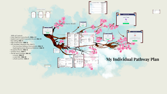 What Is An Individual Pathway Plan