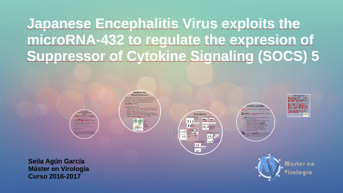 Master En Virologia By Seila Agun Garcia On Prezi Next
