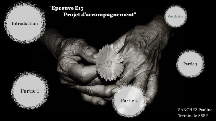 Epreuve E13: " Conduite D'un Projet D'accompagnement " By Pauline ...