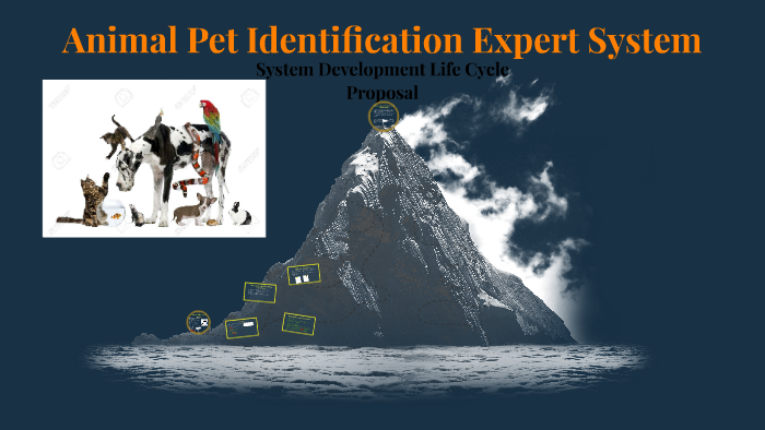Animal Identification Expert System by English Learning on Prezi