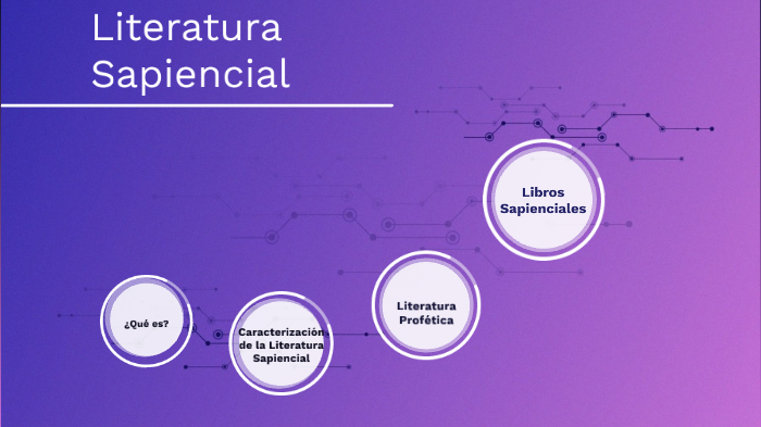QUE ES SAPIENCIAL visual data 5