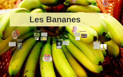 Banana Presentation By Skylar Shore Banana Presentation By Skylar Shore
