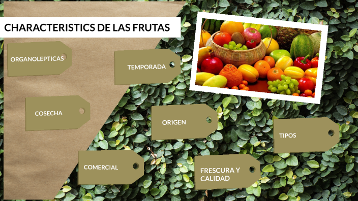 características de las frutas by Daniel Puentes on Prezi