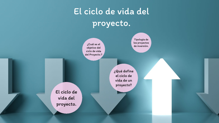 Ciclo de vida del proyecto y Tipología de los proyectos de inversión by ...