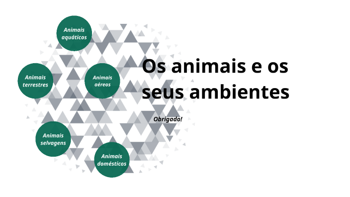 Os animais e os seus ambientes by Orlanda Castro on Prezi