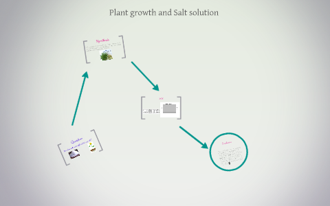 how does salt water affect plant growth experiment