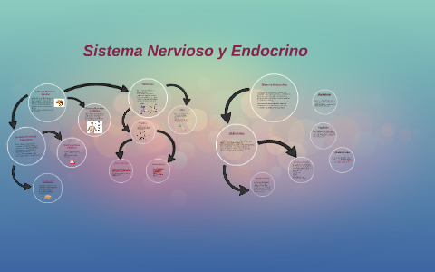 Sistema Nervioso y Endocrino by Sabrina Manzanares