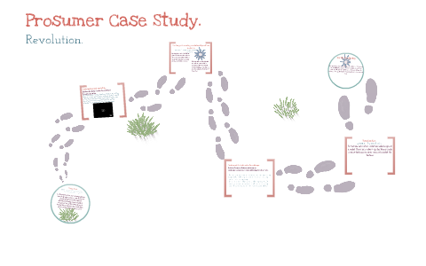 Case study prosumer 05 image