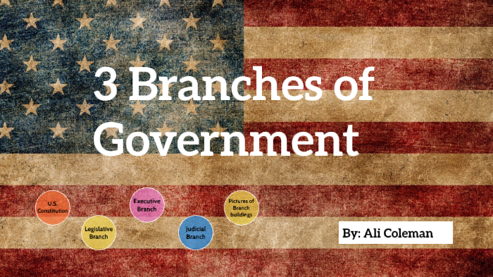 3 Branches of Government by Ali Coleman on Prezi