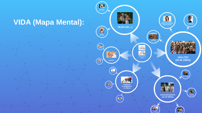 ETAPAS DE LA VIDA by Merkén Valenzuela on Prezi