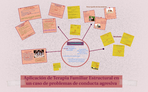 Aplicación de Terapia Familiar Estructural en un caso de pro by lizeth  andrade