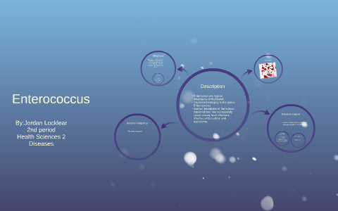 Enterococcus by Jordan Locklear on Prezi