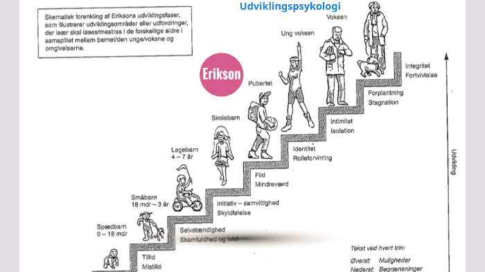 Teori Perkembangan Erik Erikson