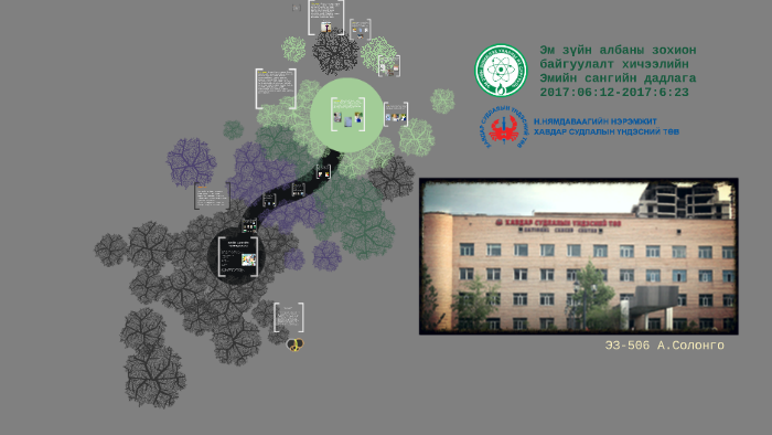 Эмийн сангийн дадлага by М. Мөнхтөмөр on Prezi