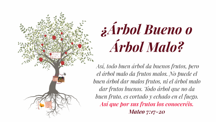 ¿Árbol Bueno o Árbol Malo? by Ximena Muñoz on Prezi