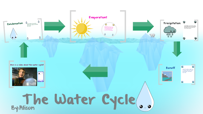 The Water Cycle by alison steele on Prezi