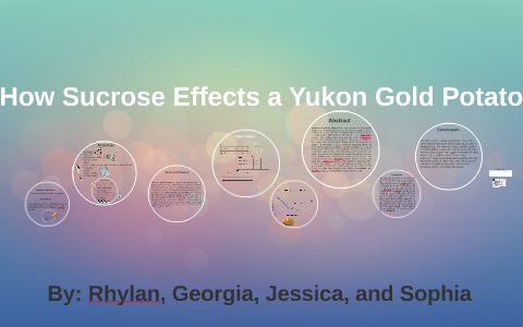 sucrose solution and potato experiment