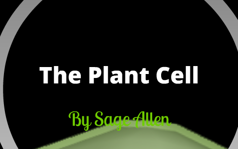 Sage Allen-Period 3-The Cell by Sage Allen on Prezi