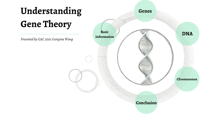 Gene Theory by georgina wang