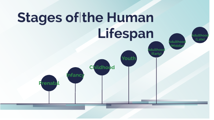 Stages of Life by Tyson Henry on Prezi